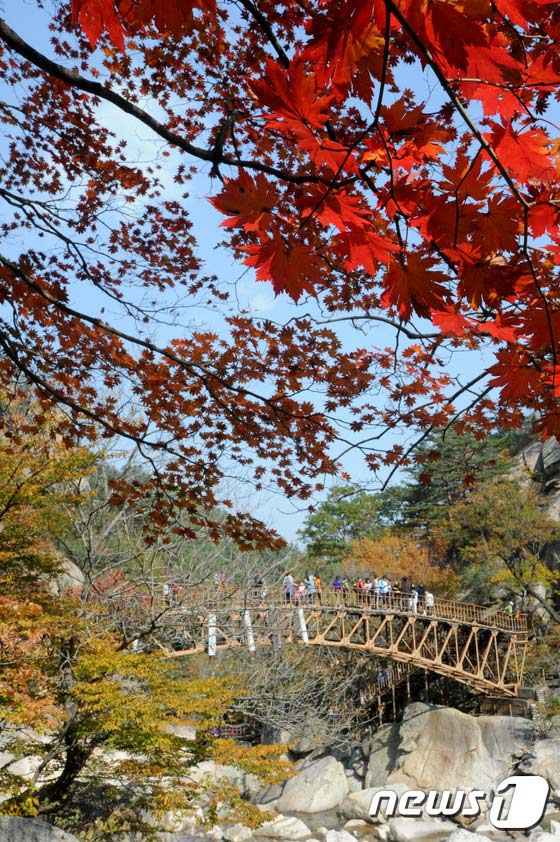 雪岳山：漫山紅葉 秋意正濃【組圖】
