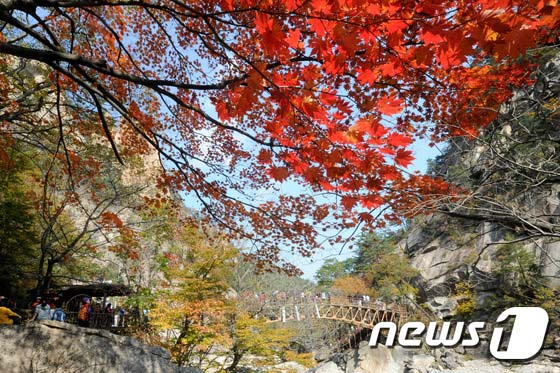 雪岳山：漫山紅葉 秋意正濃【組圖】