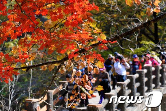 雪岳山：漫山紅葉 秋意正濃【組圖】