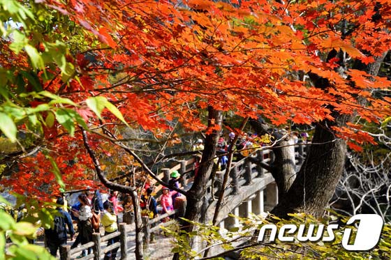 雪岳山：漫山紅葉 秋意正濃【組圖】