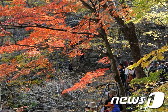 雪岳山：漫山紅葉 秋意正濃【組圖】