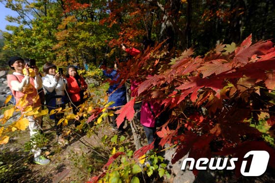 雪岳山：漫山紅葉 秋意正濃【組圖】