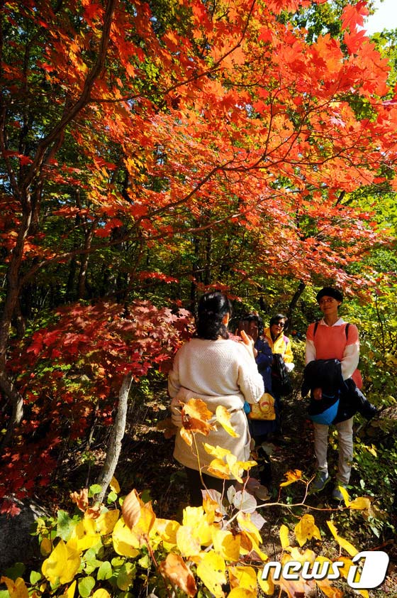 雪岳山：漫山紅葉 秋意正濃【組圖】