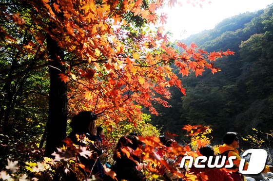 雪岳山：漫山紅葉 秋意正濃【組圖】