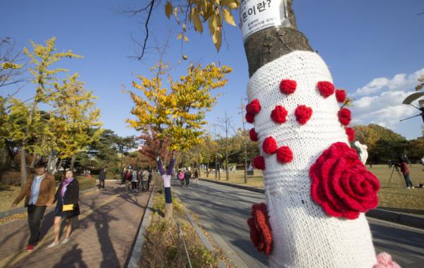 首爾樹木穿五彩“棉衣”抵御寒流入侵(組圖)