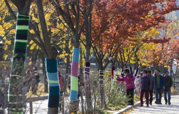 首爾樹木穿五彩“棉衣”抵御寒流入侵(組圖)