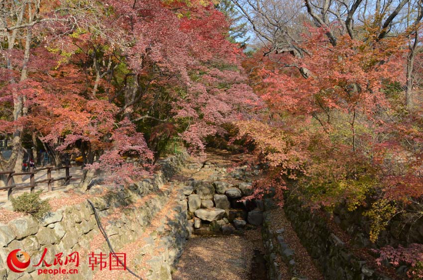 【組圖】韓國千年古都——慶州的迷人秋色