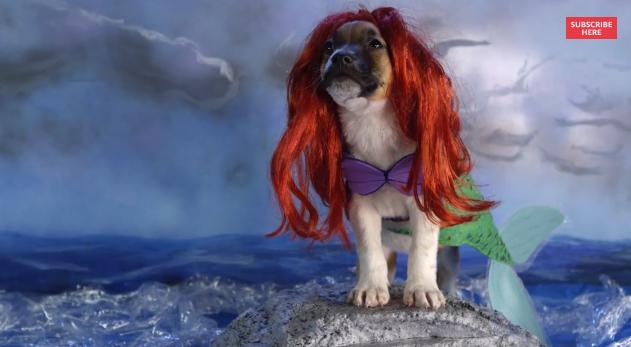 圖為“小美人魚”。