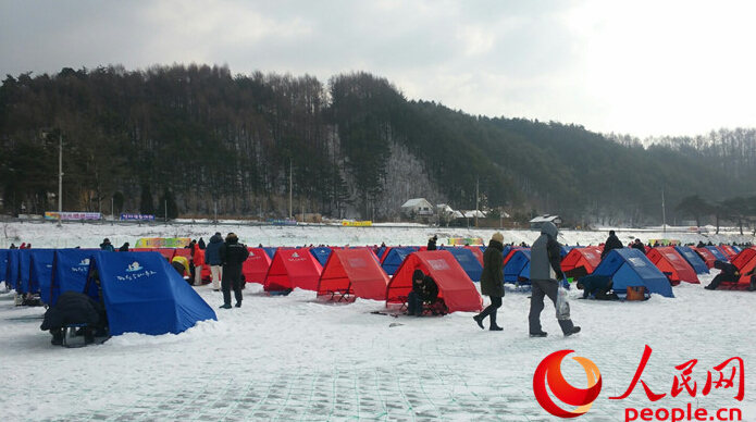 韓國三大冬季節日之一“平昌鱒魚節”20日開幕（組圖）