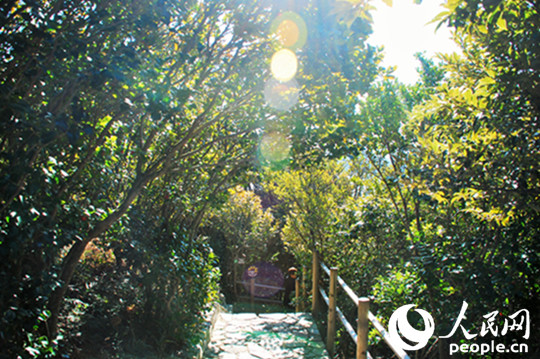 春節赴韓旅游好去處——統營長蛇島海上公園【高清組圖】