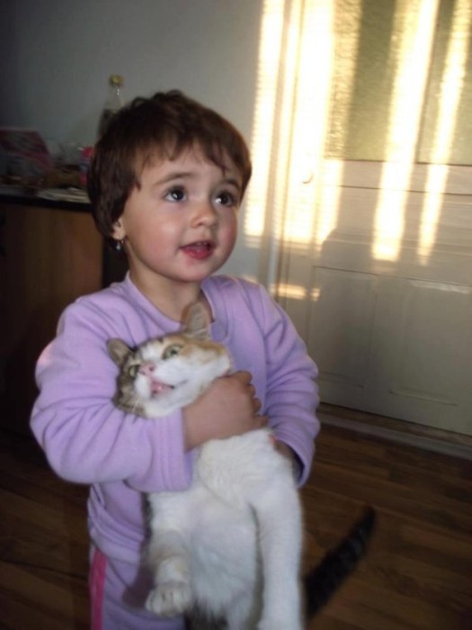 “喵星人”才是表情帝(組圖)