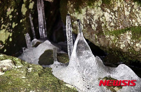 30攝氏度的高溫下在巖石縫中結出的冰柱（網頁截圖）