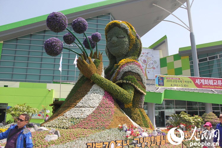 韓國高陽舉辦國際花卉博覽會 億朵鮮花齊聚盛宴