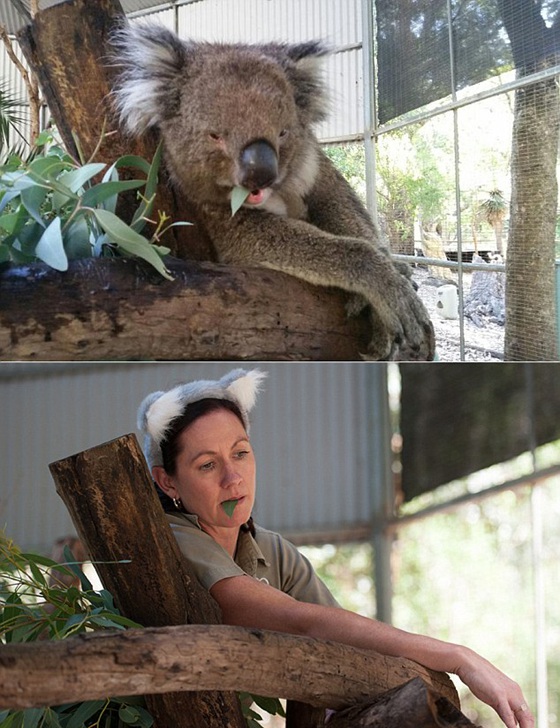 動物園管理員模仿動物搞笑照片躥紅網絡（組圖）