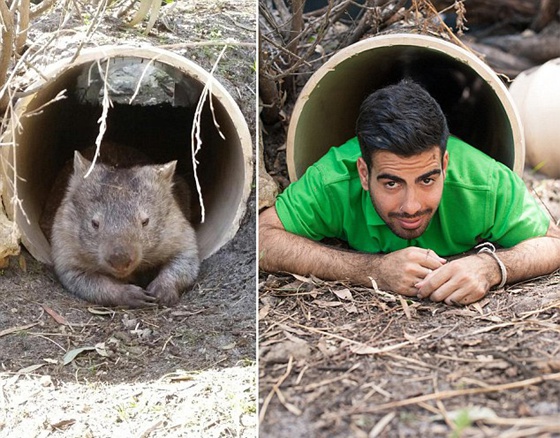 動物園管理員模仿動物搞笑照片躥紅網絡（組圖）