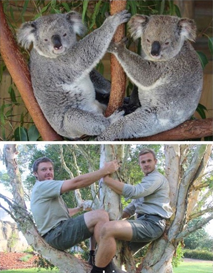 動物園管理員模仿動物搞笑照片躥紅網絡（組圖）