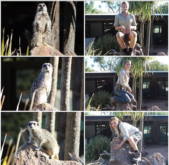 動物園管理員模仿動物搞笑照片躥紅網絡（組圖）