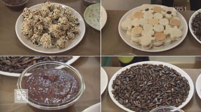 韓國重口味“昆蟲曲奇”展吸引好奇民眾 用昆蟲制成（組圖）