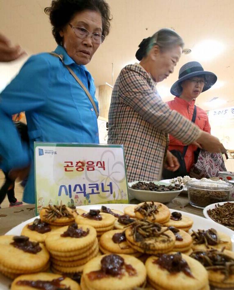 人們用驚訝的表情看著這些用昆蟲制成的曲奇（網頁截圖）