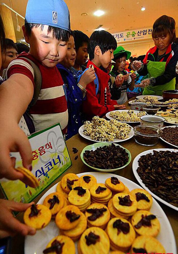 韓國重口味“昆蟲曲奇”展吸引好奇民眾 用昆蟲制成（組圖）
