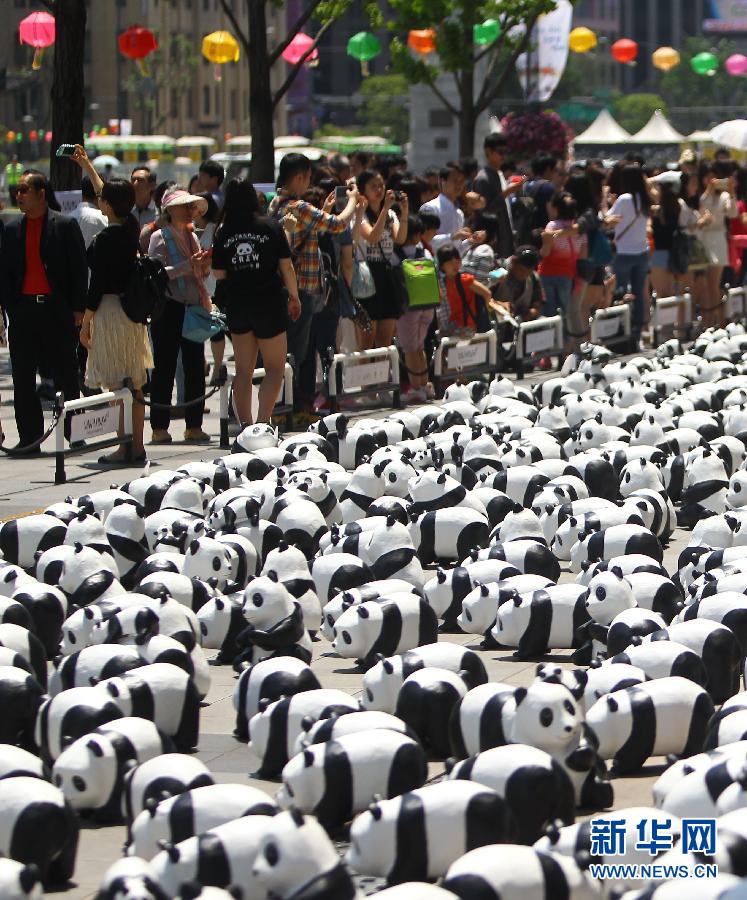 【鏡頭看世界】熊貓軍團“占領”首爾