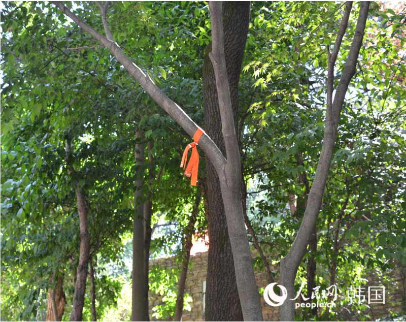 【組圖】暢游首爾環路 體悟韓國歷史與自然