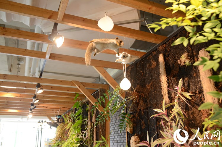 探訪世界第五大搜索門戶網站——NAVER公司