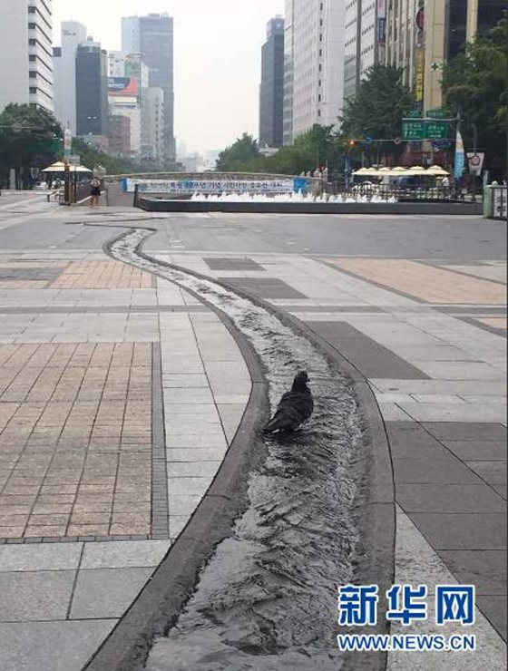 鏡頭下的韓國：首爾市清溪川的前世今生【組圖】