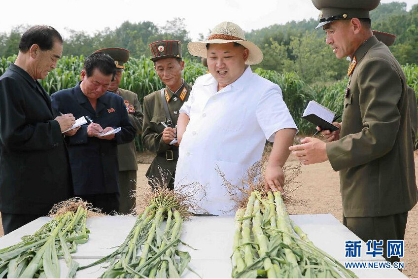朝中社8月13日提供的照片顯示，朝鮮最高領導人金正恩（中）日前視察了朝鮮人民軍第810部隊所屬1116號農場。