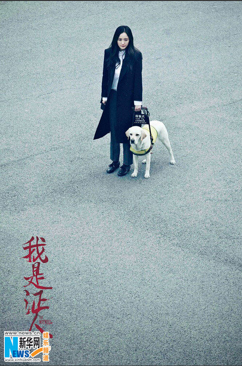 鹿晗為楊冪深情彈吉他 酷帥秀輪滑【組圖】