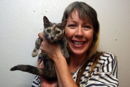 世界上最矮的貓（組圖）