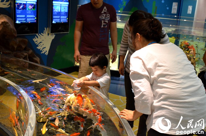 中秋國慶長假韓國游好去處—樂天世界大廈【組圖】