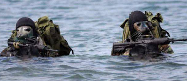 動物上陣賣萌大集合【組圖】