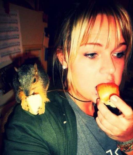 動物上陣賣萌大集合【組圖】