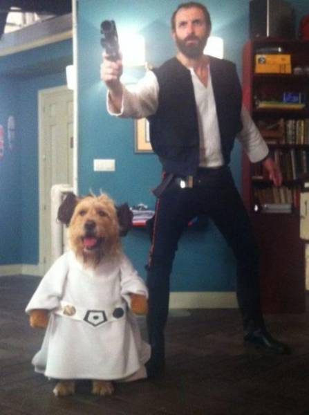 動物上陣賣萌大集合【組圖】