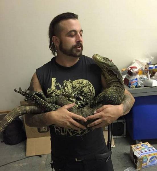 動物上陣賣萌大集合【組圖】