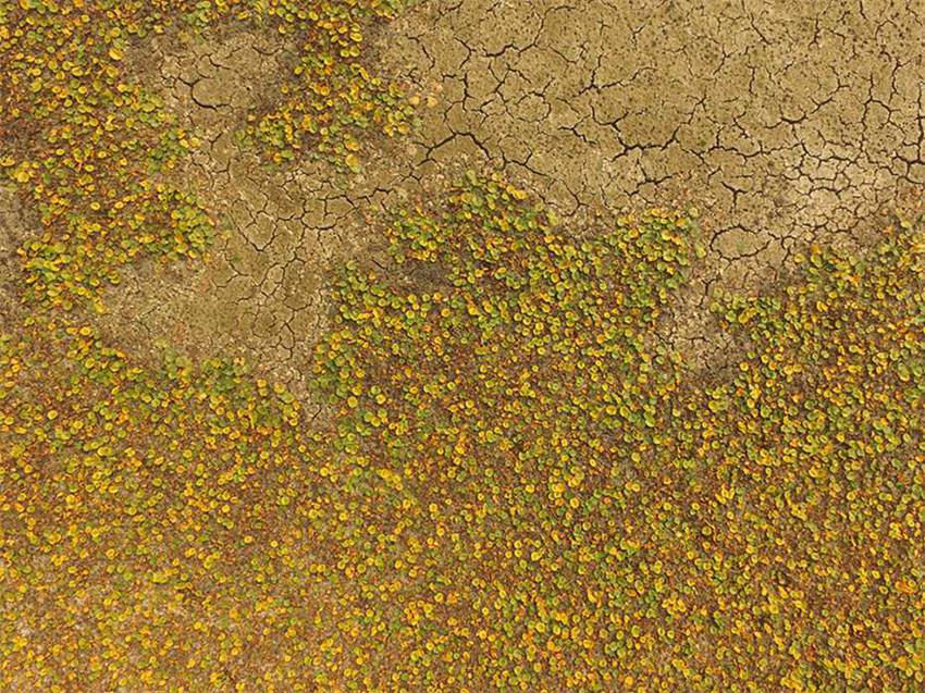 韓國忠南地區大旱 蓄水庫見底（高清組圖）