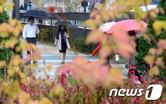 韓國首爾地區迎來秋雨 楓葉美景秋意更濃【組圖】