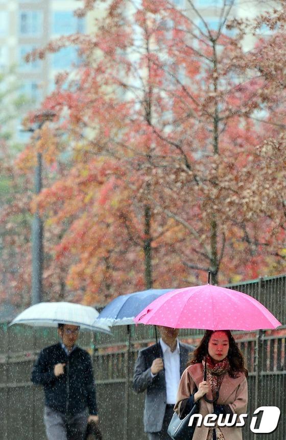 韓國首爾地區迎來秋雨 楓葉美景秋意更濃【組圖】