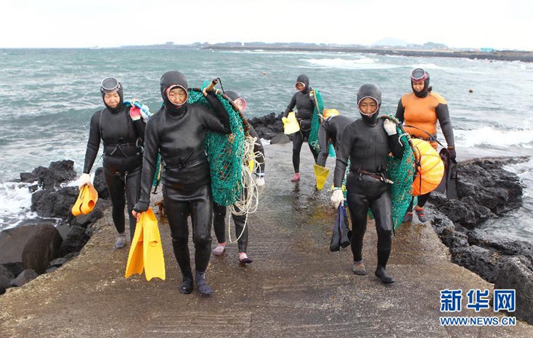 11月6日，在韓國濟州島一處海岸邊，海女們結束作業回到岸上。 新華社記者姚琪琳攝