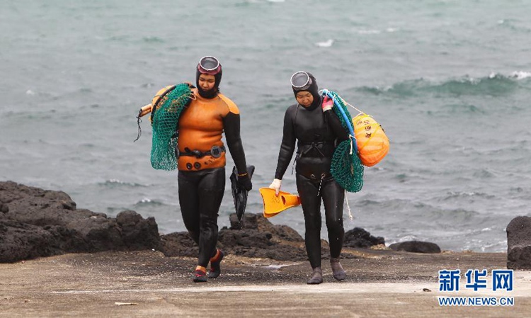 走進韓國海女的世界（高清組圖）