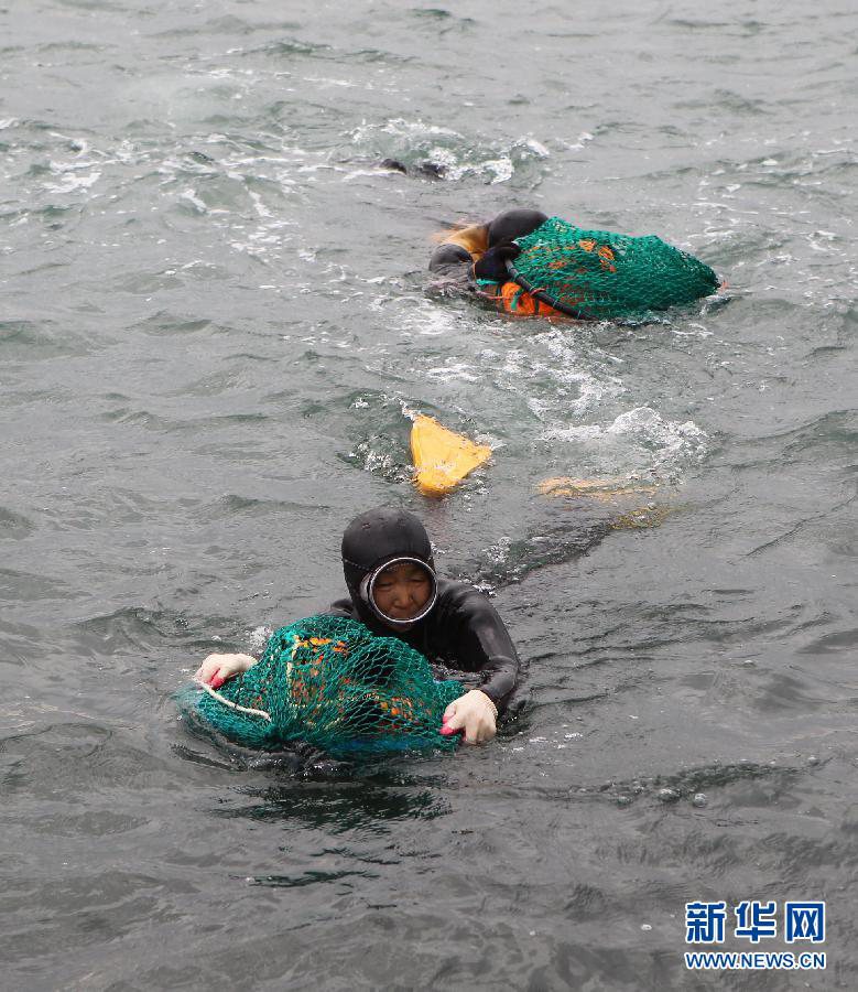 走進韓國海女的世界（高清組圖）