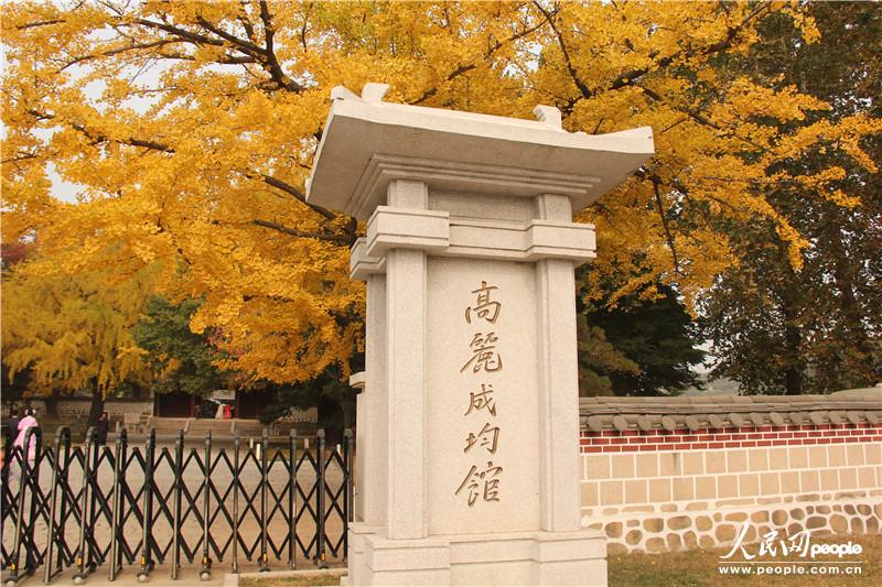 高麗時期的儒教教育機關——高麗成均館，2013年被列為世界歷史遺產名錄，院中生長的銀杏和櫸樹樹齡達千年以上。