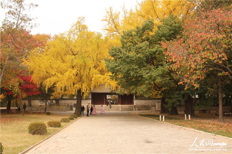 走進朝鮮妙香山-普賢寺-高麗成均館（組圖）
