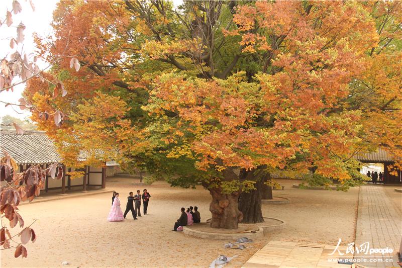 走進朝鮮妙香山-普賢寺-高麗成均館（組圖）