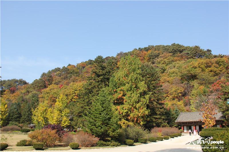 走進朝鮮妙香山-普賢寺-高麗成均館（組圖）