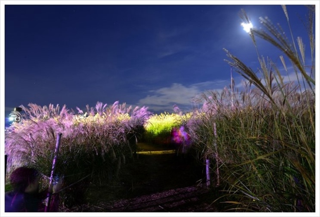 “首爾10大最美夜景地”揭曉 光化門廣場入選【組圖】