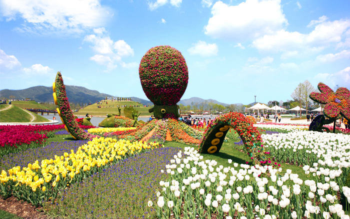2013年，順天曾舉辦“順天灣國際園藝博覽會”。（圖片來自網絡）