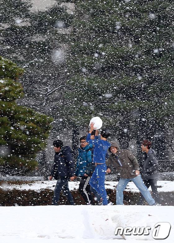 首爾普降大雪 韓國多地發布大雪警報【組圖】
