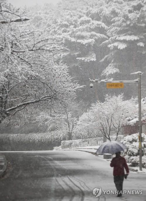 首爾普降大雪 韓國多地發布大雪警報【組圖】